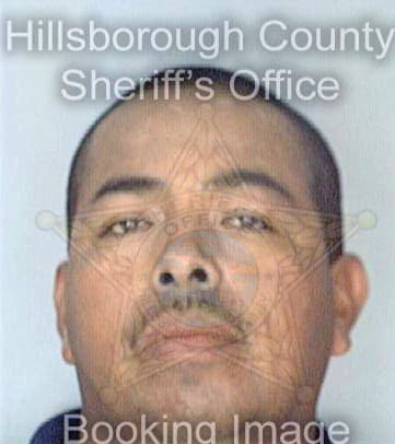 Davalos Jose - Hillsborough County, FL 