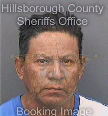 Gonzalezlopez Martiano - Hillsborough County, FL 