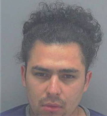 Garcia-Brizuela Marvin - Lee County, FL 