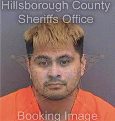 Galvan Miguel - Hillsborough County, FL 