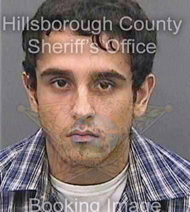 Saoji Amit - Hillsborough County, FL 