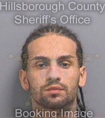 Gutierrez Frank - Hillsborough County, FL 