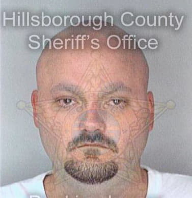 Mcguire George - Hillsborough County, FL 