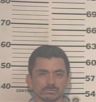 Hernandez Hector - Hidalgo County, TX 