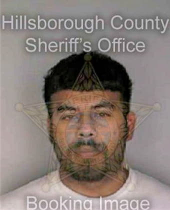 Melendez Julio - Hillsborough County, FL 