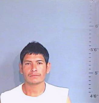 Gonzalez Salvador - Brazos County, TX 