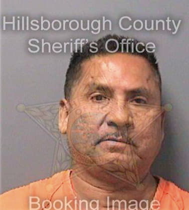 Sanchezgonzalez Armando - Hillsborough County, FL 