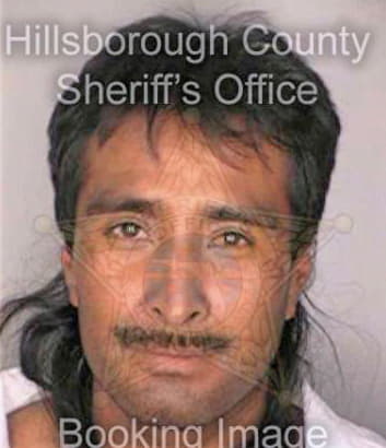 Marcos Pedro - Hillsborough County, FL 