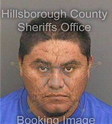 Canterodelacruz Alfonso - Hillsborough County, FL 