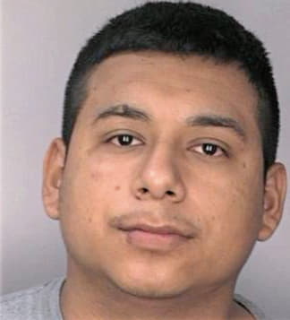 Carvajal Aaron - Hillsborough County, FL 