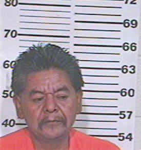 Hernandez Domingo - Hidalgo County, TX 