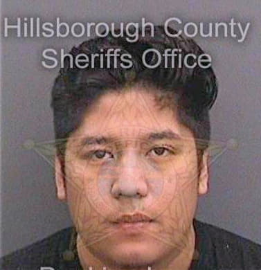 Fermin Ivan - Hillsborough County, FL 