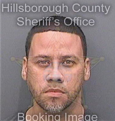 Pena Reinaldo - Hillsborough County, FL 