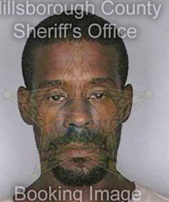 Merrill Alan - Hillsborough County, FL 