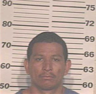 Guevara Joseph - Hidalgo County, TX 