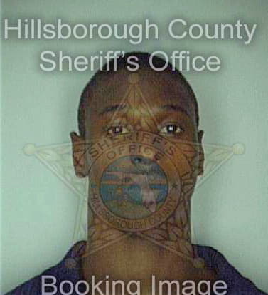 Smith Demetrice - Hillsborough County, FL 
