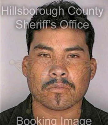 Reza Hugo - Hillsborough County, FL 