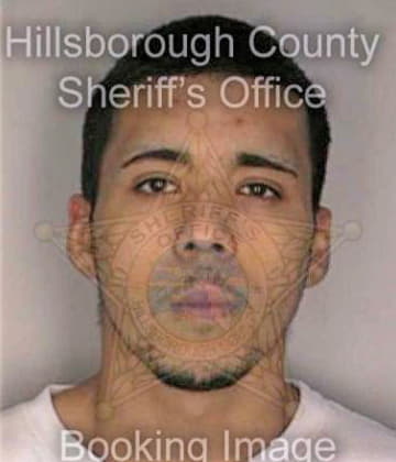 Melendez Hector - Hillsborough County, FL 