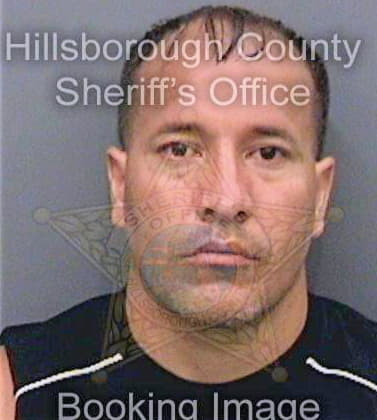 Lopezmendez Jose - Hillsborough County, FL 