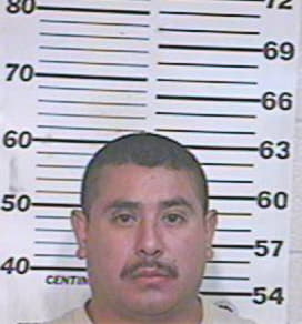 Hernandez Luis - Hidalgo County, TX 