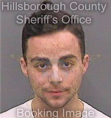 Johnson Franklin - Hillsborough County, FL 