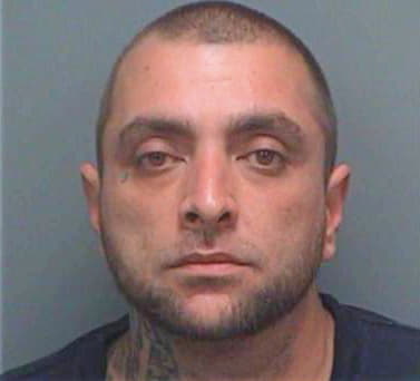 Werner Sean - Pinellas County, FL 