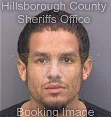 Dominguez William - Hillsborough County, FL 