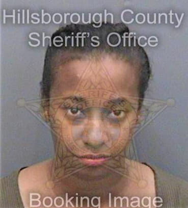 Lewis Shanice - Hillsborough County, FL 