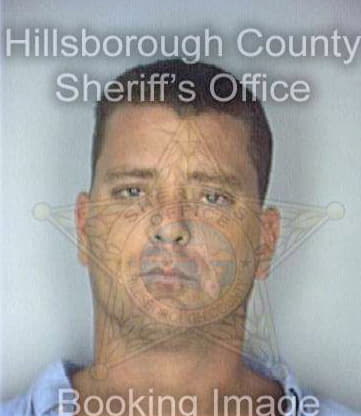 Warren Everett - Hillsborough County, FL 