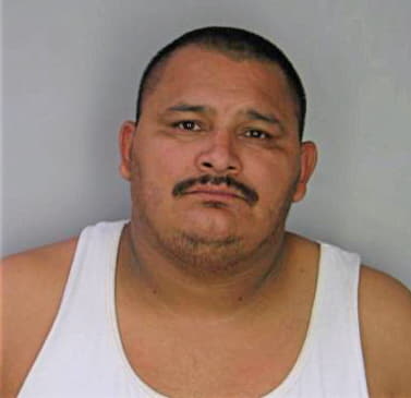 Mendoza Jose - Hillsborough County, FL 