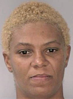 Mcneal Allyna - Hillsborough County, FL 