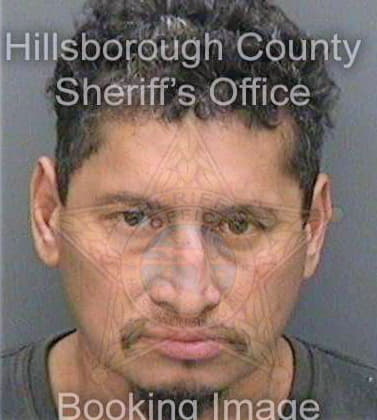 Gonzalezdiaz Roger - Hillsborough County, FL 