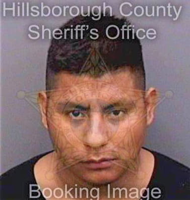 Cruz Ventura - Hillsborough County, FL 