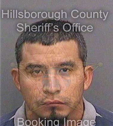 Nolascocarbajal Domingo - Hillsborough County, FL 