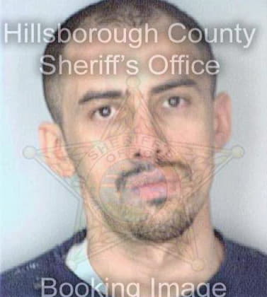 Gonzalez Jose - Hillsborough County, FL 