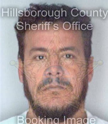 Jimenez Miguel - Hillsborough County, FL 