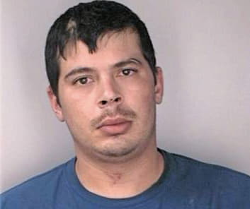 Silva Seferino - Hillsborough County, FL 