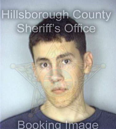 Masek Nathan - Hillsborough County, FL 