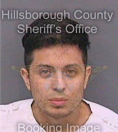 Medrano Fabrizio - Hillsborough County, FL 