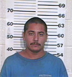 Hernandez Adan - Hidalgo County, TX 