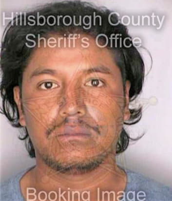 Gonzalez Jose - Hillsborough County, FL 