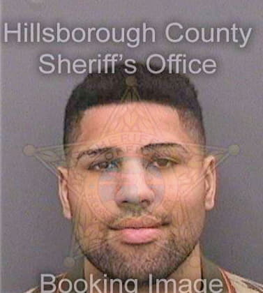 Garcia Lewis - Hillsborough County, FL 