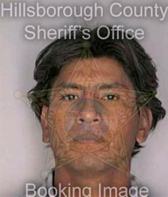 Medina Otilio - Hillsborough County, FL 