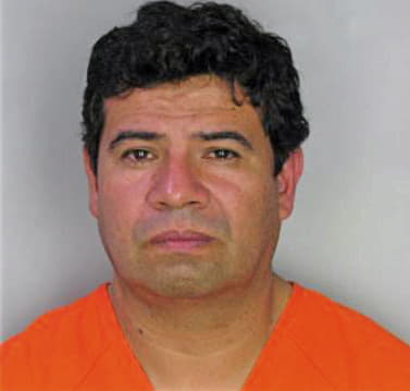 Medinagarcia Noel - Hillsborough County, FL 