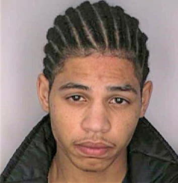 Simmons Adam - Hillsborough County, FL 