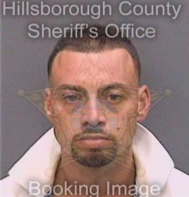 Cazaz Alexander - Hillsborough County, FL 