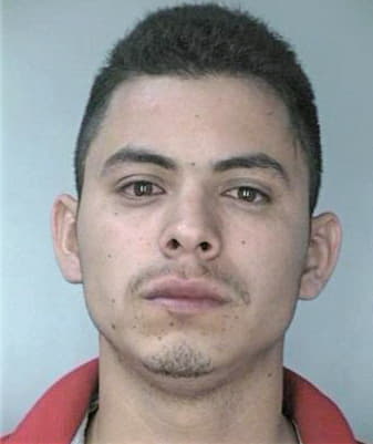 Garcia Fernando - Hillsborough County, FL 