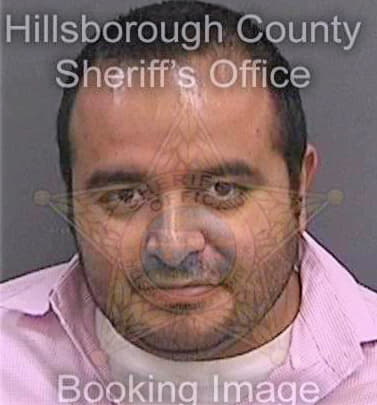 Mellado Alvaro - Hillsborough County, FL 