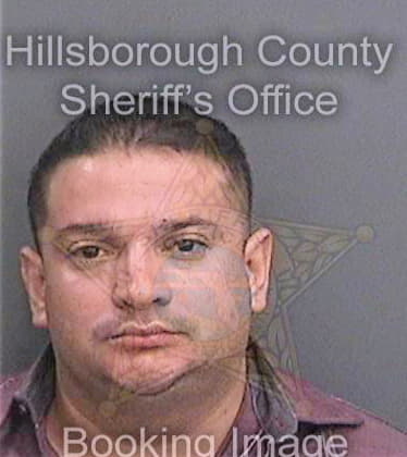 Sortorios Julian - Hillsborough County, FL 