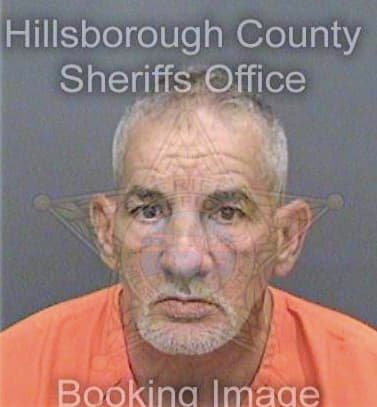 Dejesus Nelson - Hillsborough County, FL 